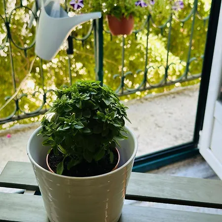 Varandas Do Marquês *