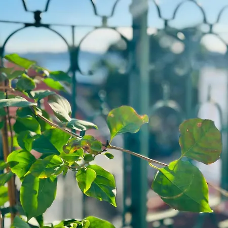 Varandas Do Marquês *