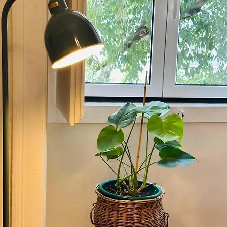 Varandas Do Marques Апартаменти *