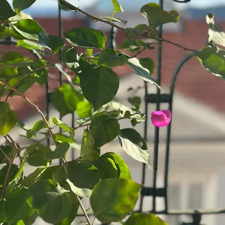 Varandas Do Marques Lisbona