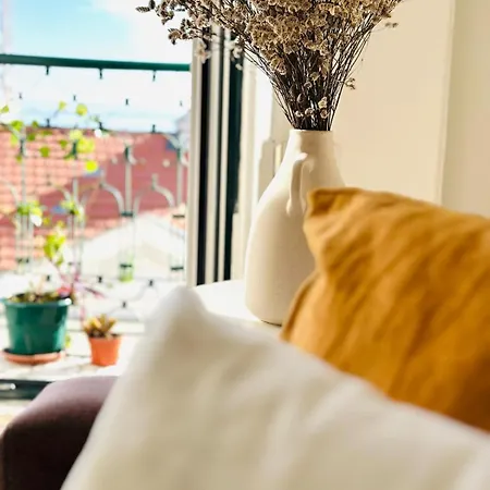 Апартаменти Varandas Do Marques