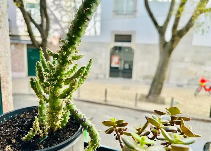 شقة Varandas Do Marques Lisboa