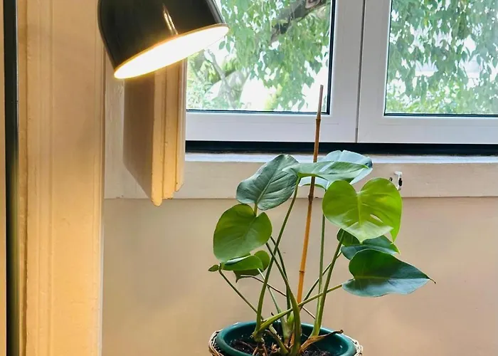 Varandas Do Marques شقة *