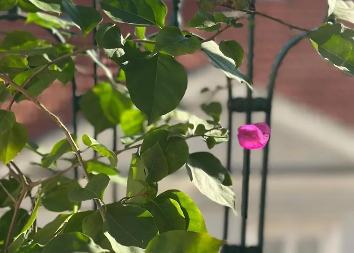 Varandas Do Marques Lisboa