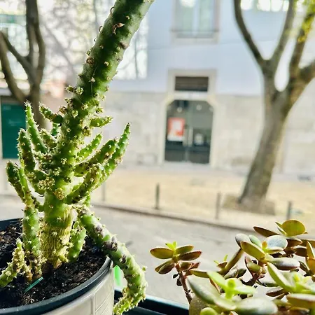 Διαμέρισμα Varandas Do Marques Lisboa